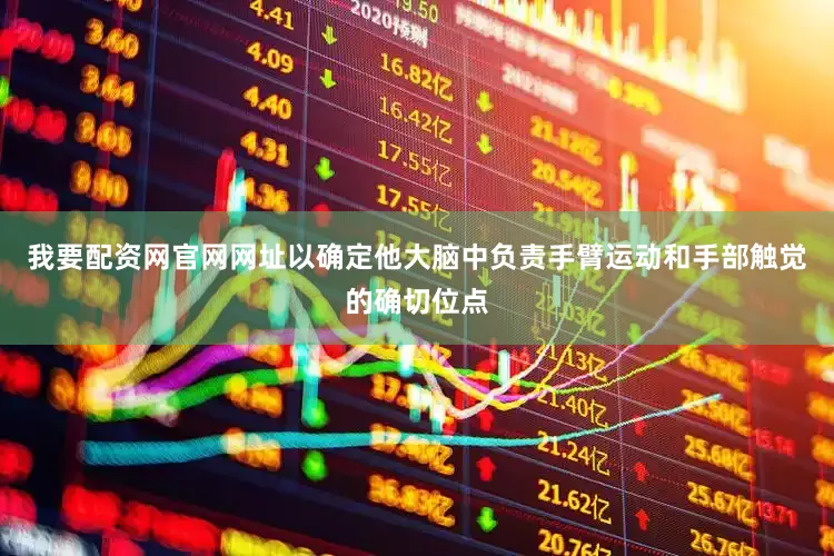 我要配资网官网网址以确定他大脑中负责手臂运动和手部触觉的确切位点