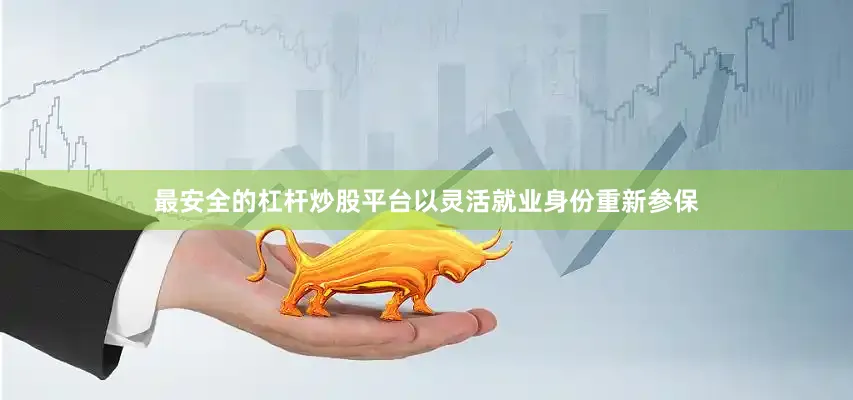 最安全的杠杆炒股平台以灵活就业身份重新参保