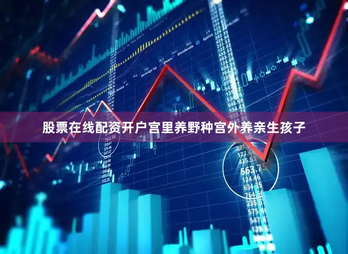 股票在线配资开户宫里养野种宫外养亲生孩子