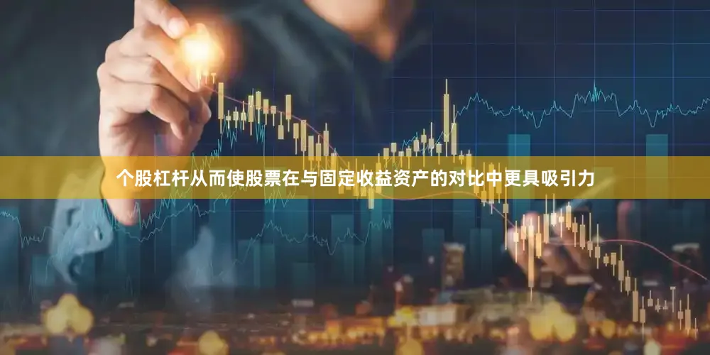 个股杠杆从而使股票在与固定收益资产的对比中更具吸引力